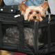 Sherpa Deluxe Pet Carriers | $39 | Amazon